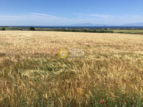 Αγροτεμάχια 36.900τ.μ. για πώληση-Επανομή » Μεσημέρι