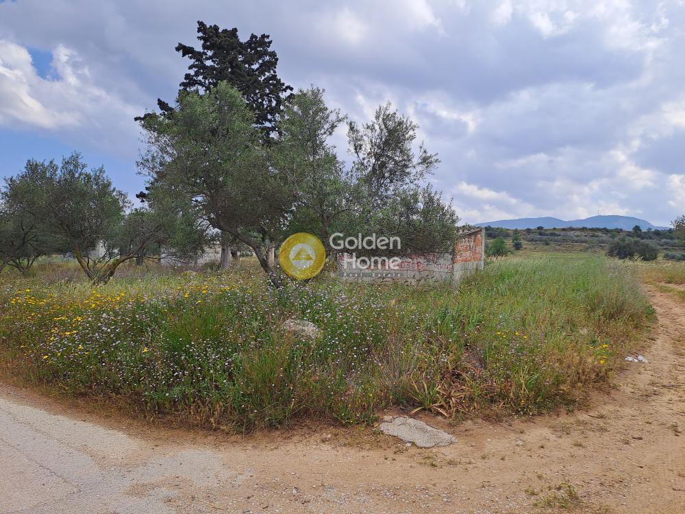Οικόπεδο 4.500 τ.μ. προς πώληση, Εξαμίλια