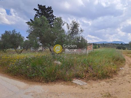 Οικόπεδο 4.500τ.μ. για πώληση-Κόρινθος » Εξαμίλια