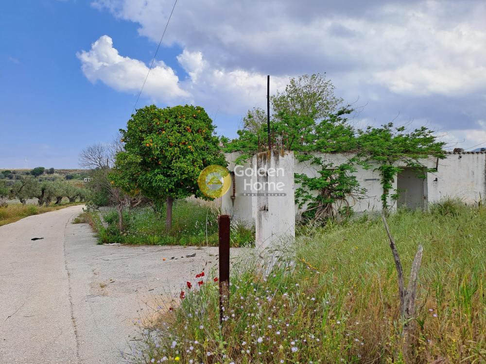 Οικόπεδο 4.500 τ.μ. προς πώληση, Εξαμίλια