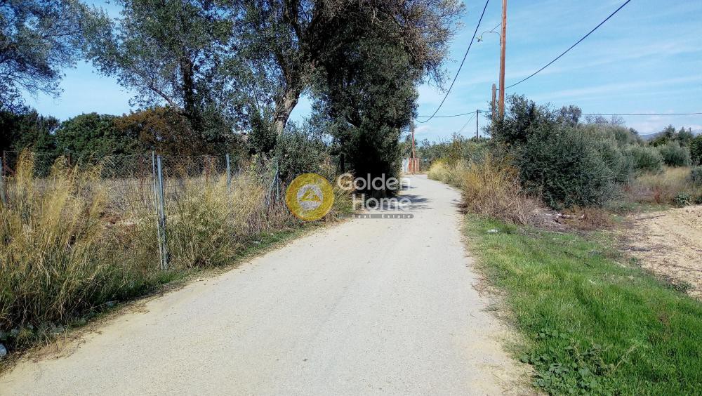 Αγροτεμάχια 5.628 τ.μ. προς πώληση, Λευκαντί