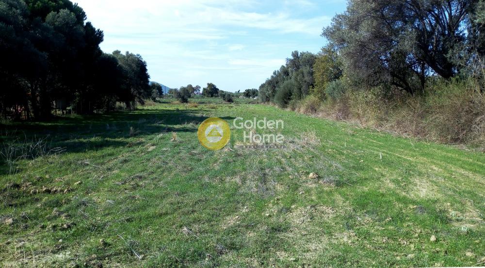 Αγροτεμάχια 5.628 τ.μ. προς πώληση, Λευκαντί