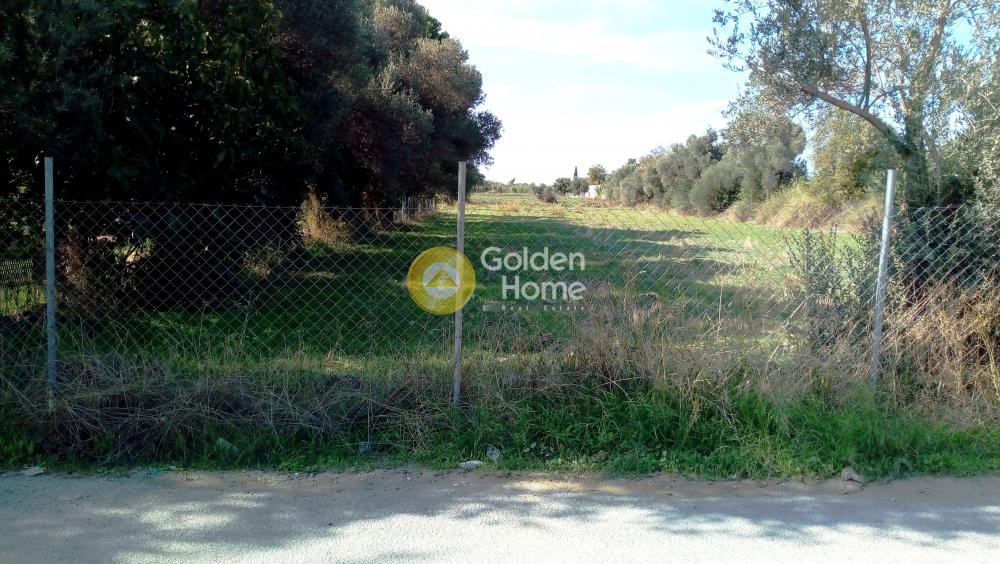 Αγροτεμάχια 5.628 τ.μ. προς πώληση, Λευκαντί