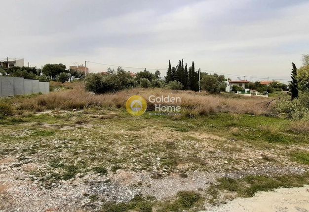 Land plot 500 sqm for sale, Athens - East, Paiania