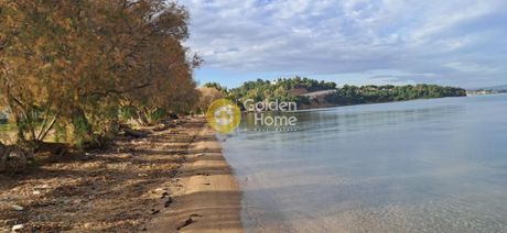 Building 311sqm for sale-Oropos » Neo Sikamino