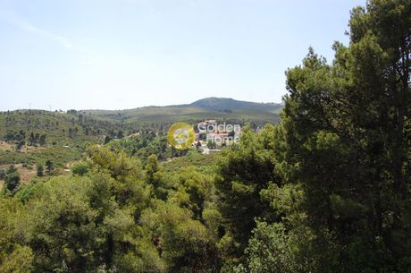Detached home 282sqm for sale-Stamata » Center