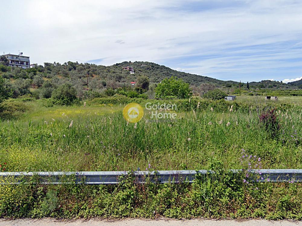 Οικόπεδο 2.300 τ.μ. για πώληση, Εύβοια, Αιδηψός