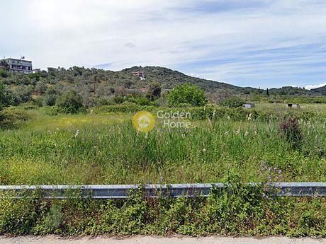 Οικόπεδο 2.300τ.μ. για πώληση-Αιδηψός » Κέντρο