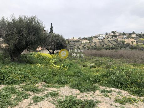 Αγροτεμάχια 6.000τ.μ. για ενοικίαση-Παλλήνη » Κέντρο