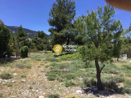 Οικόπεδο 2.650τ.μ. για πώληση-Φίλιπποι » Σταυρός