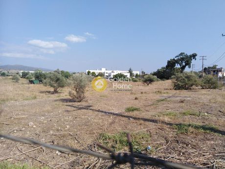 Οικόπεδο 3.329τ.μ. για πώληση-Χαλκίδα » Δοκός