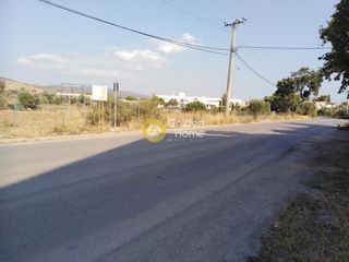 Οικόπεδο 3.329 τ.μ. προς πώληση, Δοκός Χαλκίδας-thumb-3