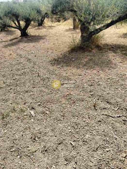 Land plot 1.870sqm for sale-Gazi » Agioi Theodoroi