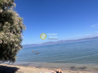 Κατάστημα 350 τ.μ. για ενοικίαση