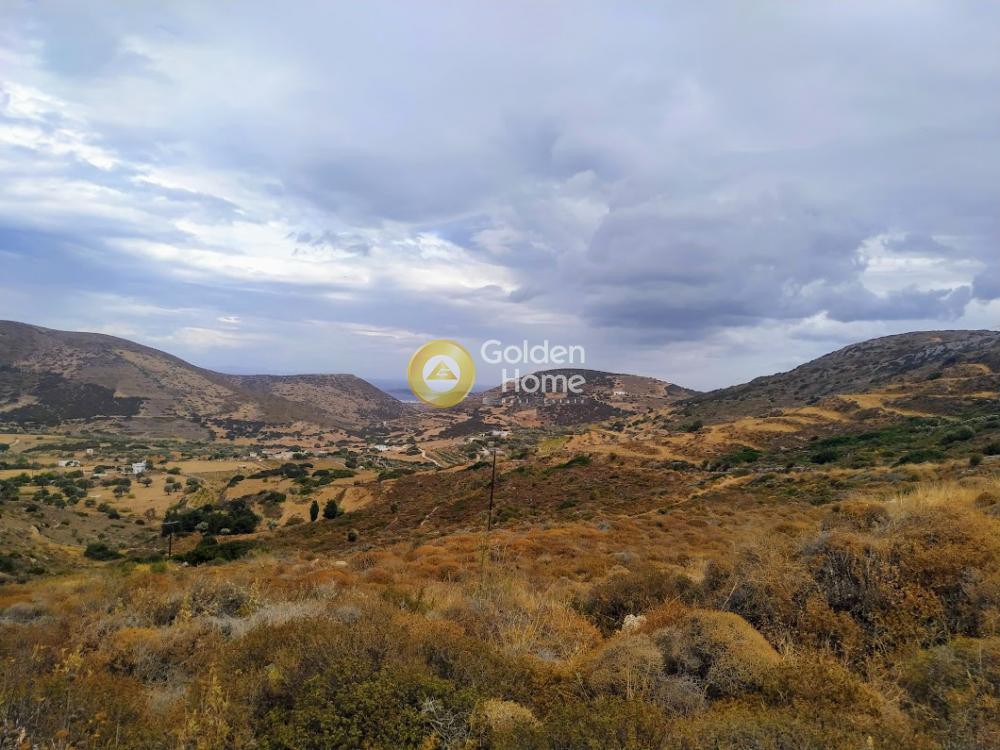 Αγροτεμάχια 12.000 τ.μ. προς πώληση, Μαράθι Πάρου