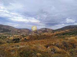 Αγροτεμάχια 12.000 τ.μ. για πώληση