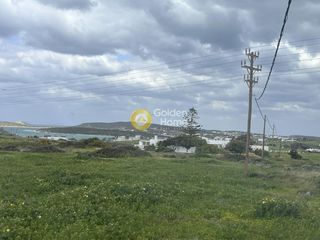 Αγροτεμάχια 8.685 τ.μ. για πώληση