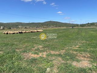 Αγροτεμάχια 5.000 τ.μ. για ενοικίαση, Εύβοια, Δύστος-thumb-5