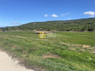 Αγροτεμάχια 5.000 τ.μ. για ενοικίαση, Εύβοια, Δύστος-thumb-1