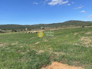 Αγροτεμάχια 5.000 τ.μ. για ενοικίαση, Εύβοια, Δύστος-thumb-3