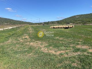Αγροτεμάχια 5.000 τ.μ. για ενοικίαση, Εύβοια, Δύστος-thumb-4
