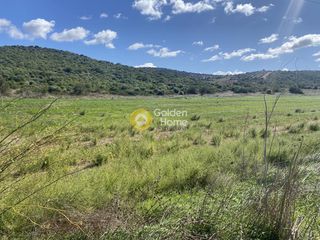 Αγροτεμάχια 5.000 τ.μ. για ενοικίαση, Εύβοια, Δύστος-thumb-9