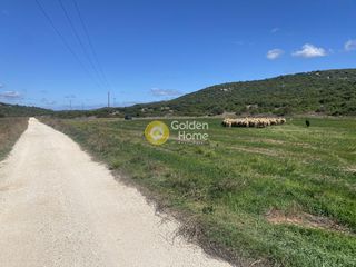 Αγροτεμάχια 5.000 τ.μ. για ενοικίαση, Εύβοια, Δύστος-thumb-6