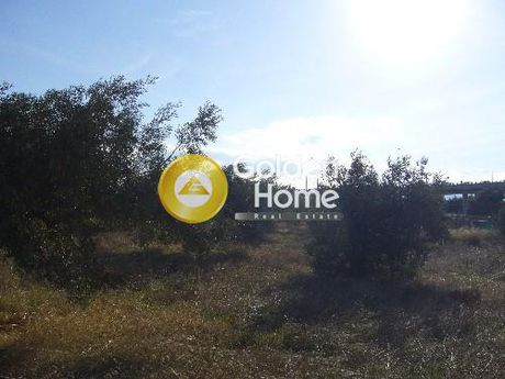 Parcel 545sqm for sale-Koropi » Center