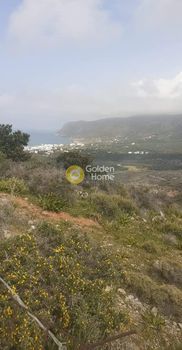 Land plot 4.200sqm for sale-Vrachasi » Epano Sisi