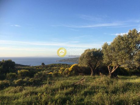 Αγροτεμάχια 7.145τ.μ. για πώληση-Κρύα βρύση » Κέντρο