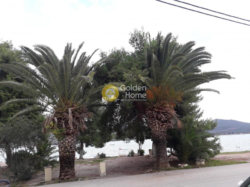 Μονοκατοικία 200 τ.μ. προς πώληση, Κοιλάδα Κρανιδίου