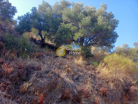 Land plot 4.080sqm for sale-Gazi » Kapetanaki Metochi