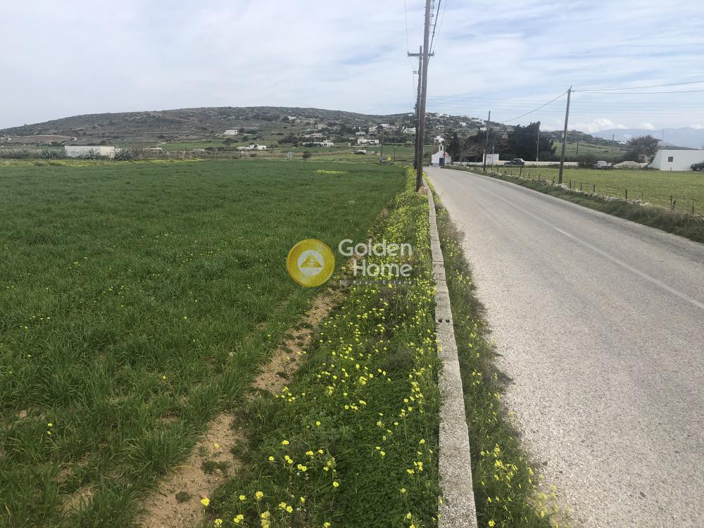 Οικόπεδο 11.000 τ.μ. προς πώληση, Ιστέρνι