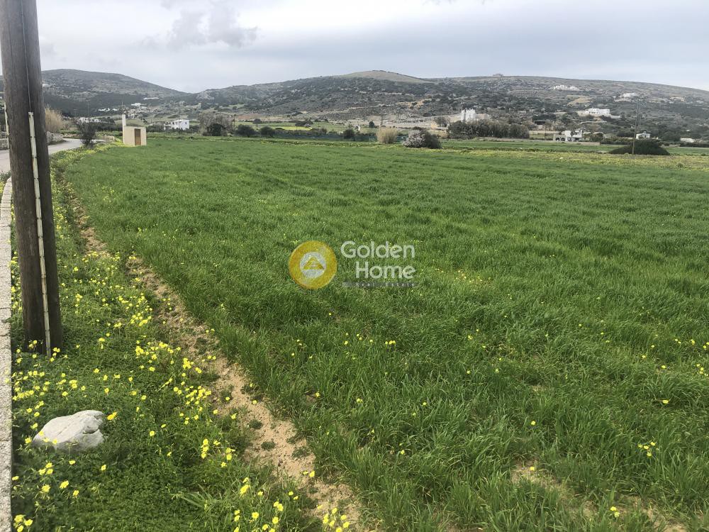 Οικόπεδο 11.000 τ.μ. προς πώληση, Ιστέρνι