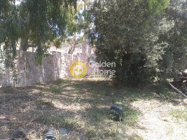 Μονοκατοικία 210 τ.μ. προς πώληση, Μητροπήσι
