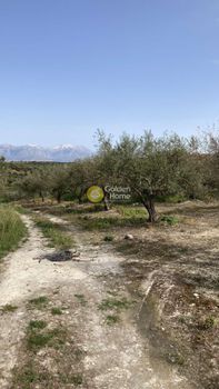 Οικόπεδο 1.501τ.μ. για πώληση-Νίκος καζαντζάκης » Κουνάβοι