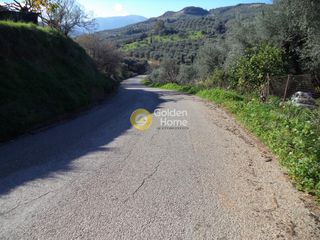 Αγροτεμάχια 4.000 τ.μ. για πώληση
