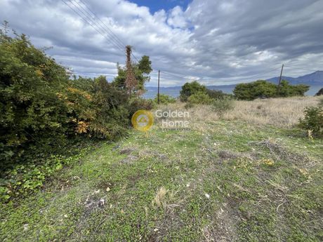 Αγροτεμάχια 3.380τ.μ. για πώληση-Οινούντας » Άγιος ιωάννης θεολόγος