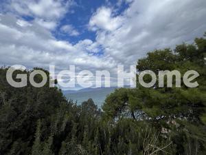 Οικόπεδο 4.476 τ.μ. προς πώληση, Άγιος Ιωάννης Θεολόγος Οινούντα