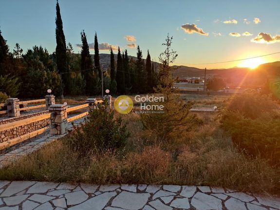 Οικόπεδο 6.800 τ.μ. για πώληση, Βοιωτία, Αράχοβα
