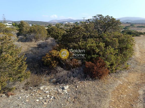 Αγροτεμάχια 24.354 τ.μ. για πώληση, Κυκλάδες, Πάρος