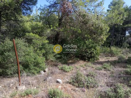 Land plot 1.134sqm for sale-Afidnes » Agia Triada