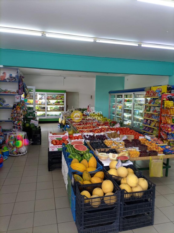 Κατάστημα 470 τ.μ. προς ενοικίαση, Παράλιο Άστρος