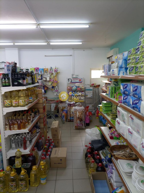 Κατάστημα 470 τ.μ. προς ενοικίαση, Παράλιο Άστρος