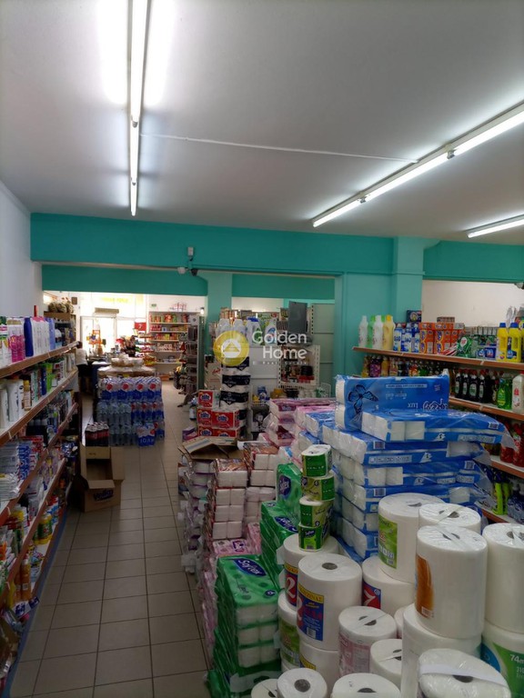 Κατάστημα 470 τ.μ. προς ενοικίαση, Παράλιο Άστρος