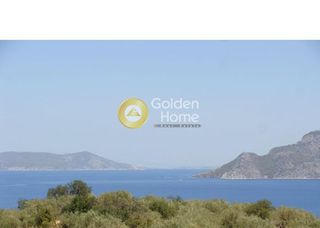 Αγροτεμάχια 11.815 τ.μ. για πώληση
