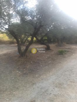Land plot 2.500sqm for sale-Nikos Kazantzakis » Agios Vasileios