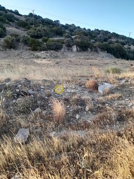 Land plot 2.205sqm for sale-Viannos » Agia Moni