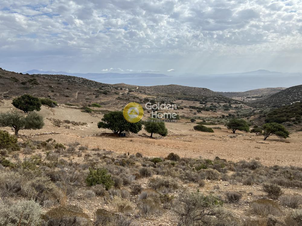 Αγροτεμάχια 9.123 τ.μ. προς πώληση, Μονή Αγίων Θεοδώρων Πάρου