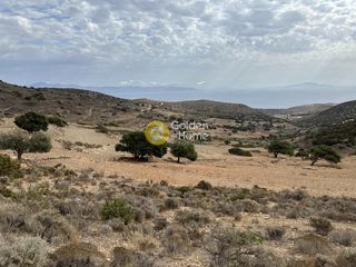 Αγροτεμάχια 9.123 τ.μ. για πώληση